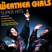Nostalgie-THE WEATHER GIRLS-IT'S RAINING MEN